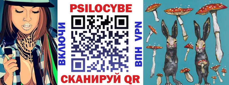 Купить закладки  Новоалтайск  Псилоцибиновые грибы GOLDEN TEACHER 